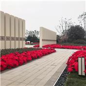 濰坊高新區 東方之珠